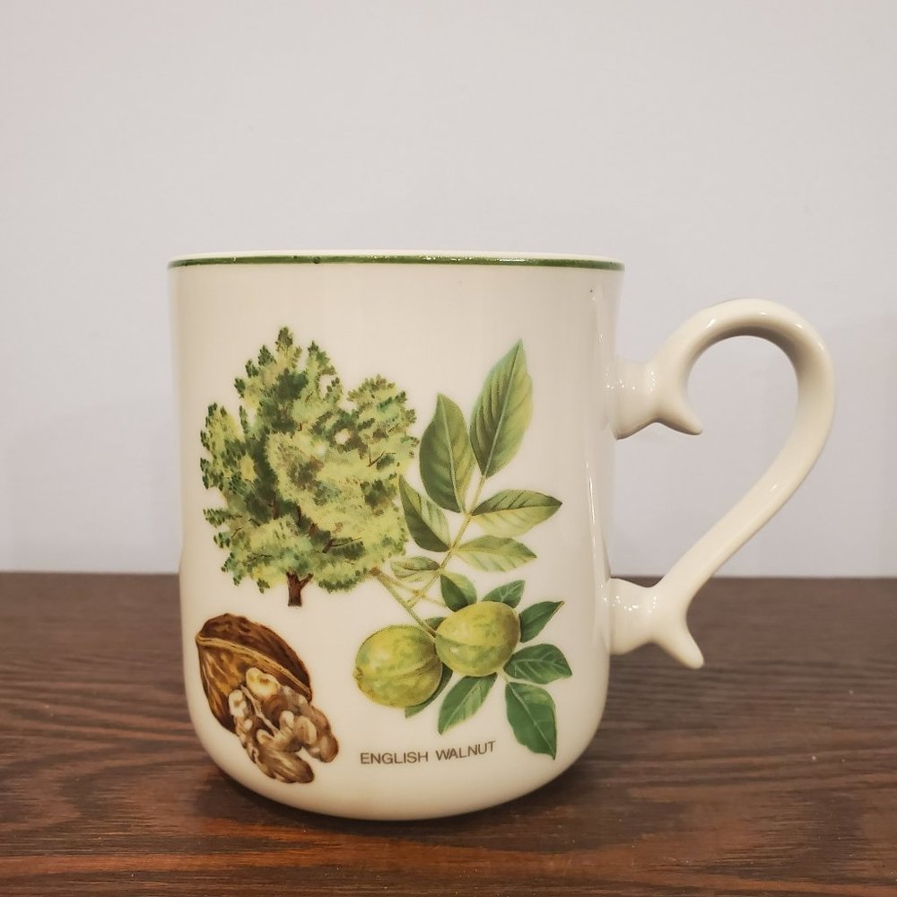 Vintage Japan Porcelain English Walnut Tree Coffee Mug Tea Botanical Taxonomy